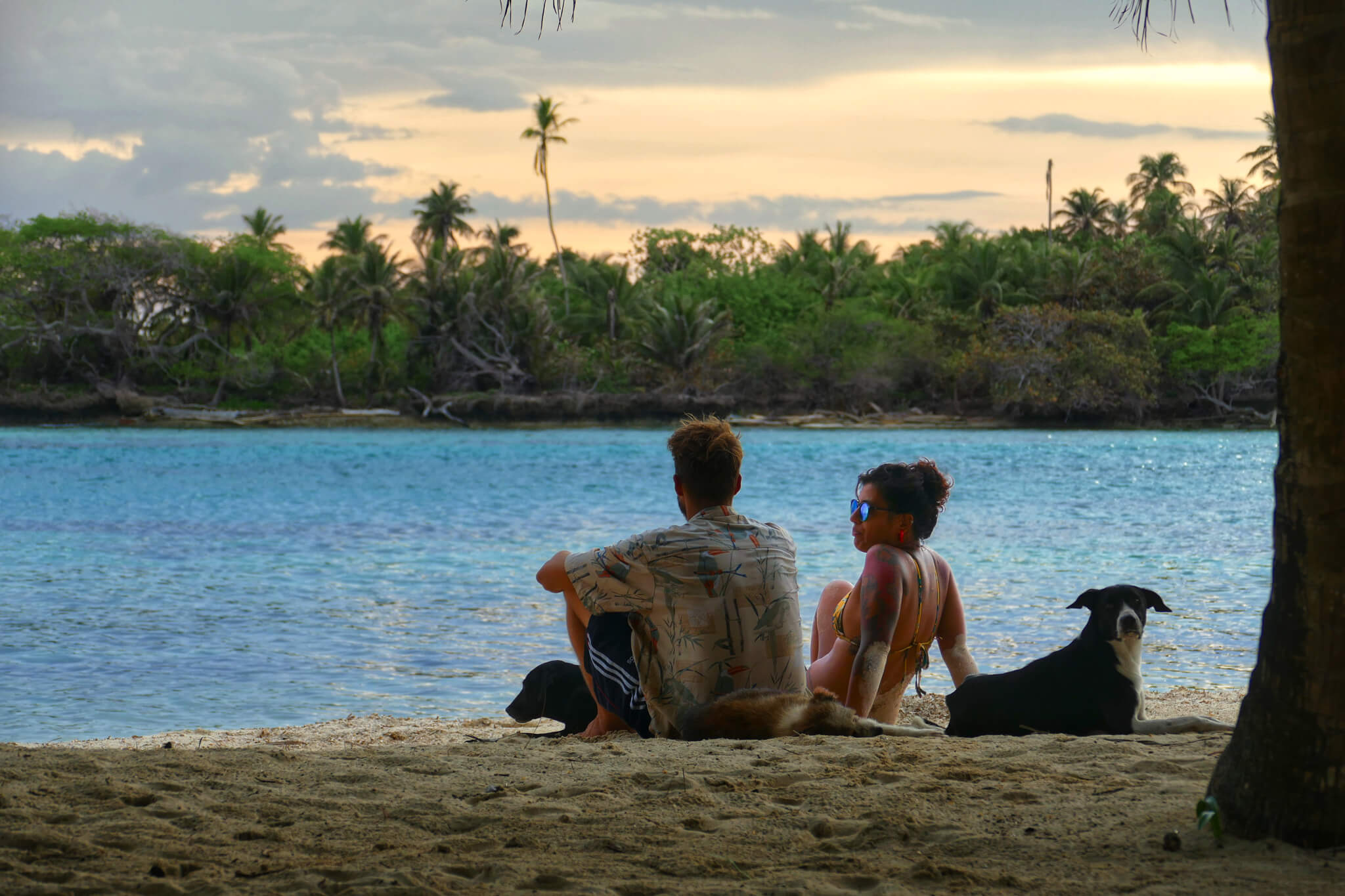 Founders of Go San Blas sitting on a beach in the San Blas Islands looking at the Caribbean Sea