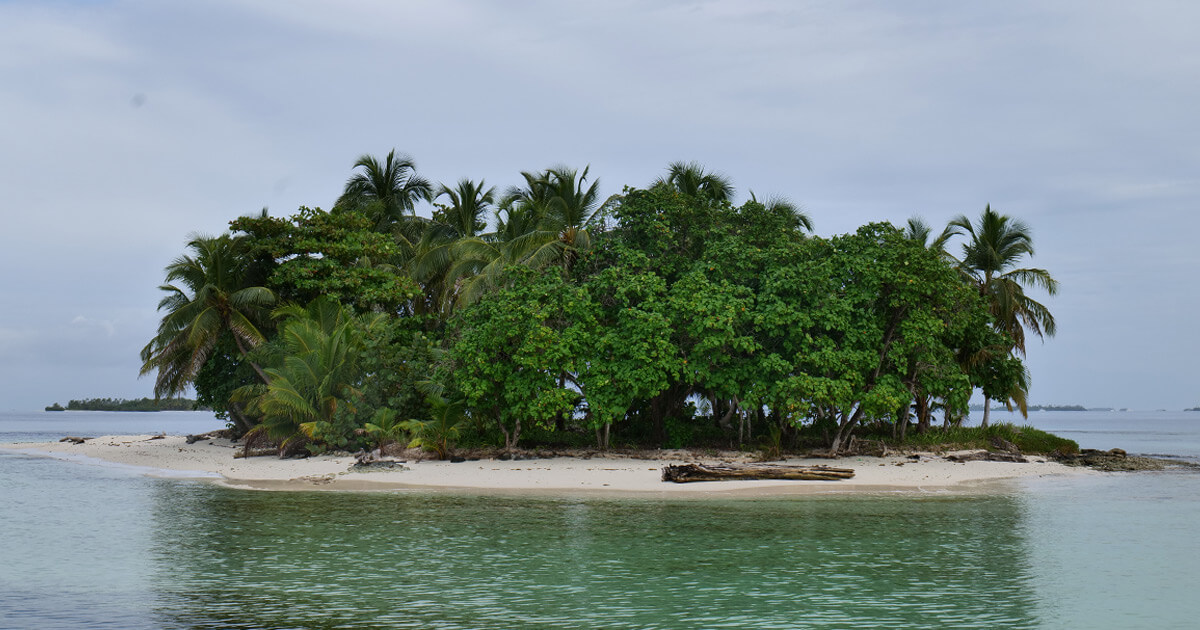 Mangroves and coconut palms along the coastline of the San Blas Islands in Guna Yala, Panama