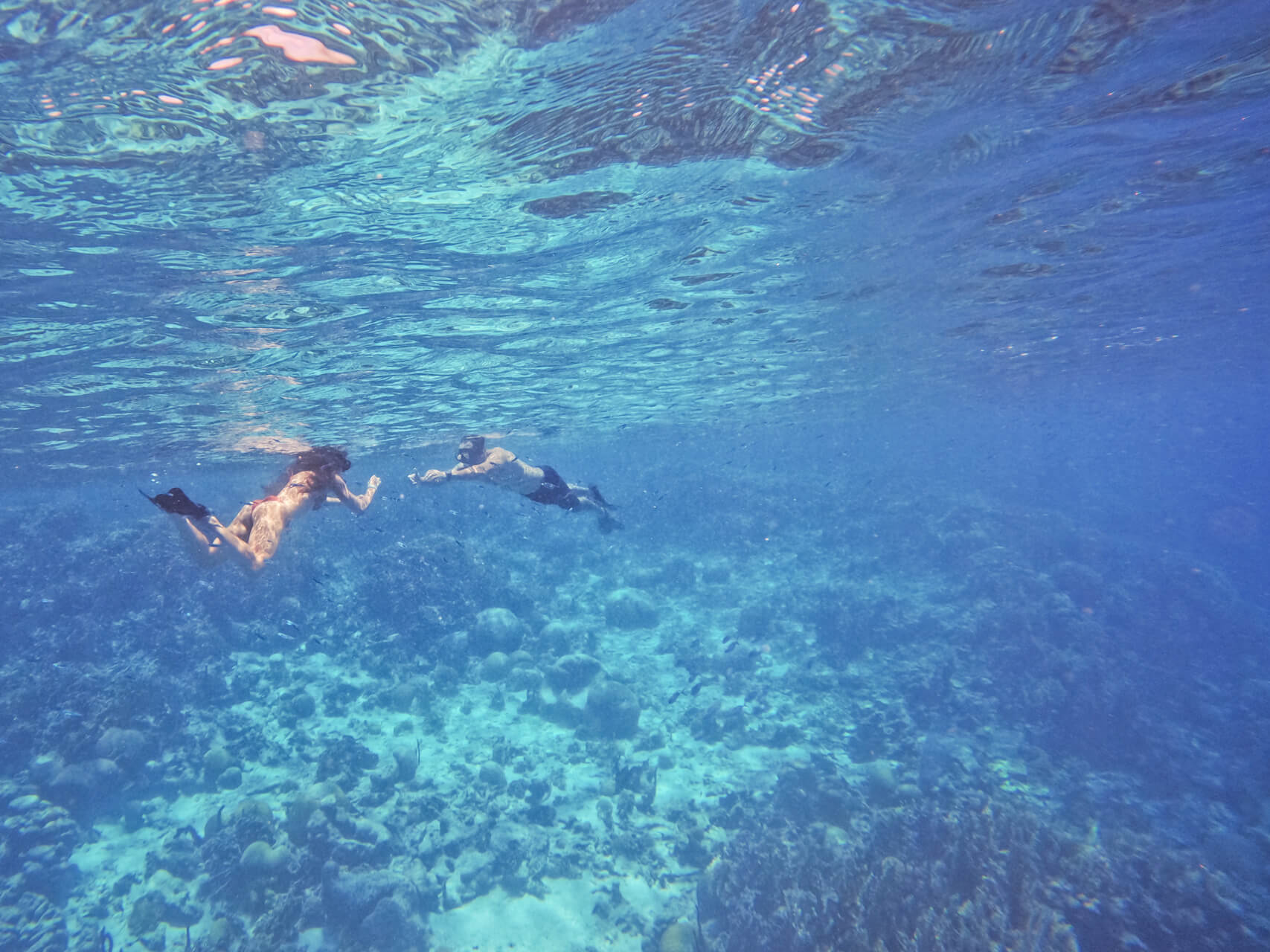 Travelers snorkeling near a coral reef in the San Blas Islands