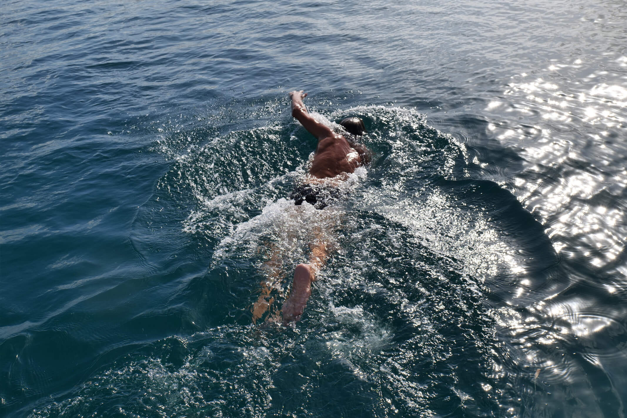 Dense mangrove roots protecting the low-lying coastline of the San Blas Islands from erosion